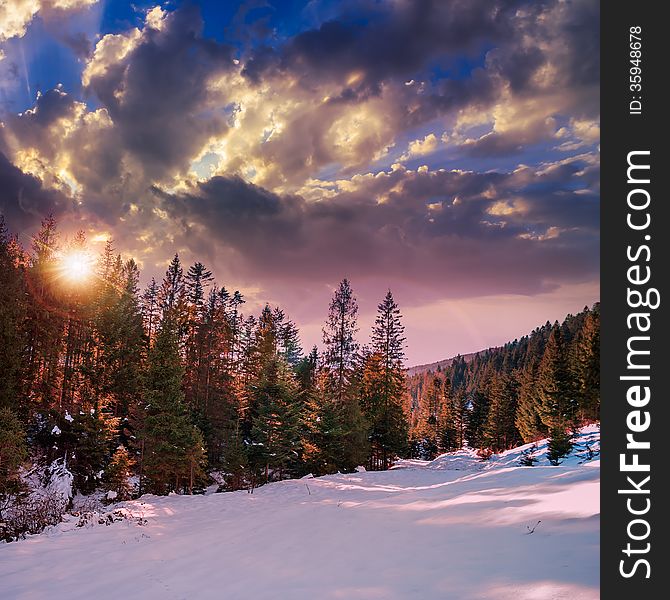 Snowy Road To Coniferous Forest In Mountains