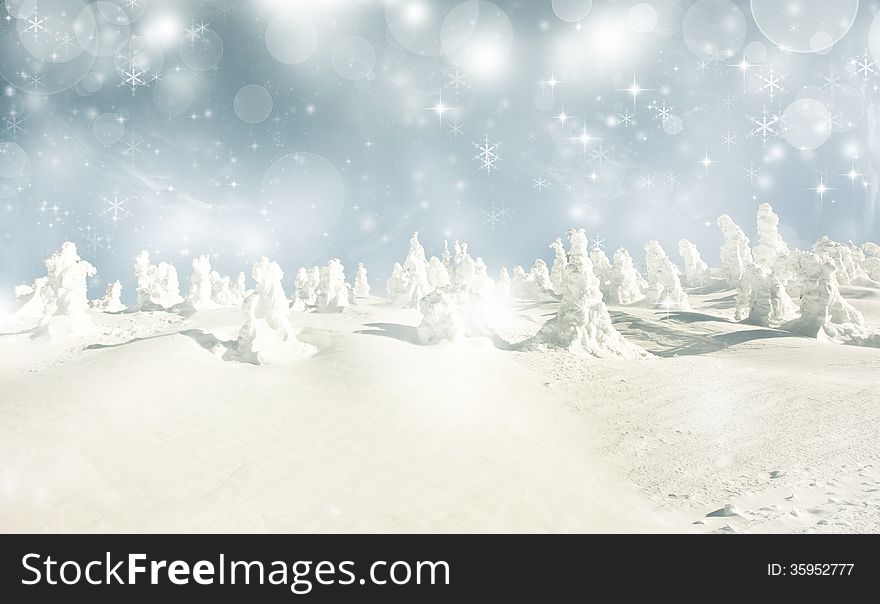 Christmas background with stars and snowy fir trees