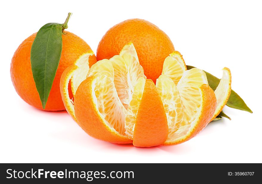 Fresh Ripe Tangerine Full Body with Leafs and Segments with Citrus Peel on white background. Fresh Ripe Tangerine Full Body with Leafs and Segments with Citrus Peel on white background