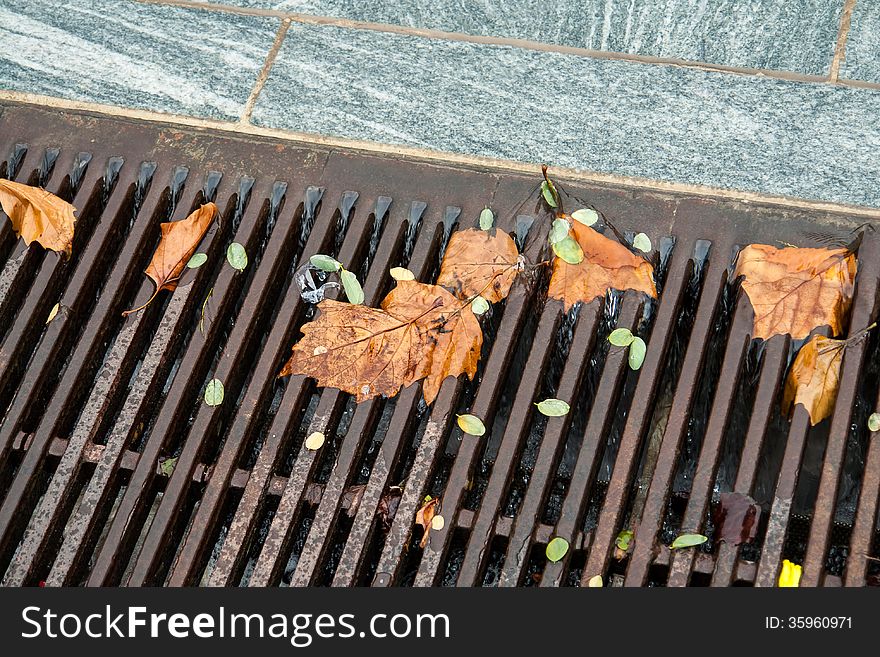 Falling leaves in a street gutter - fall winter background. Falling leaves in a street gutter - fall winter background