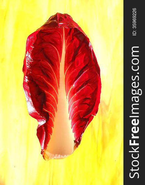 A leaf of red radiccio (cichorium intybus) on a yellow marbled Tiffany-glass. A leaf of red radiccio (cichorium intybus) on a yellow marbled Tiffany-glass