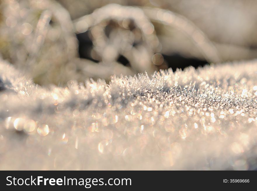 Closeup On Frost