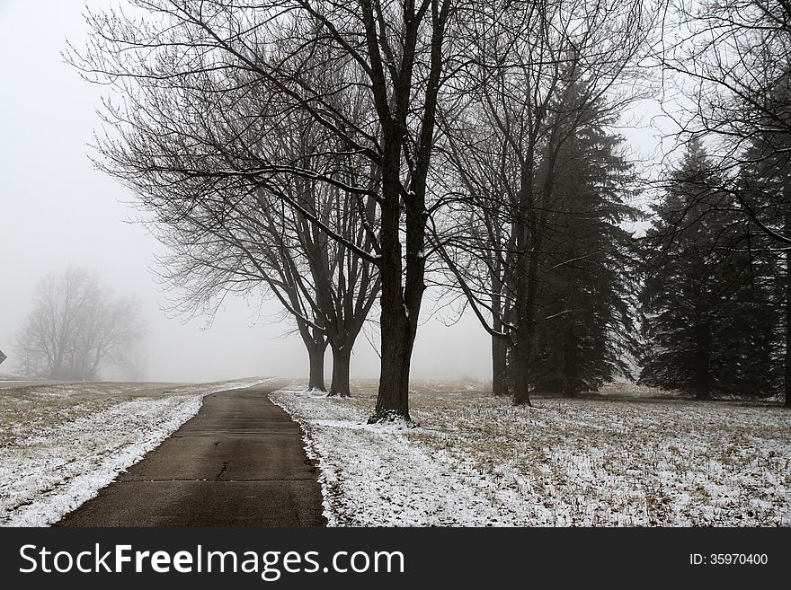 A foggy, cold morning walk with a dusting of snow on the ground. A foggy, cold morning walk with a dusting of snow on the ground.