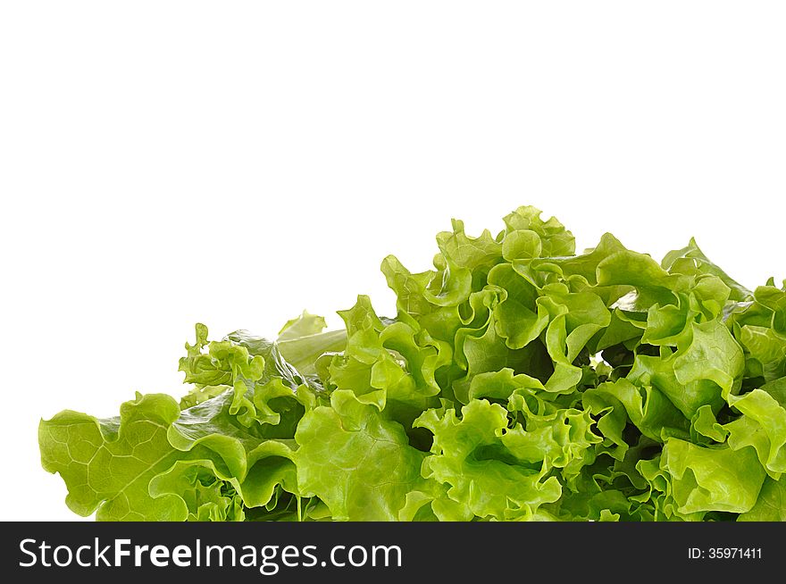 Green Salad Isolated On A White