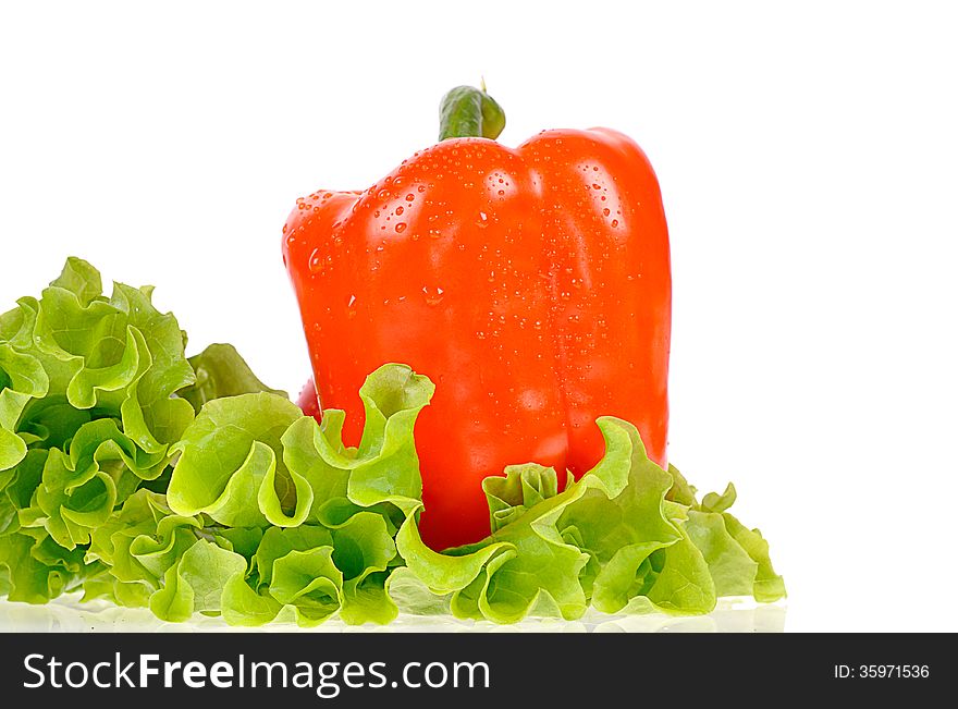 Pepper and salad leaf isolated