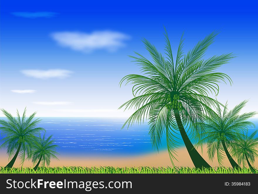 BEACH WITH COCONUT TREES ILLUSTRATIONS
