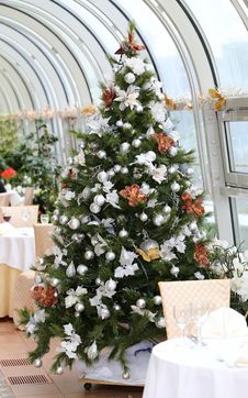 Festive Christmas Tree Royalty Free Stock Photo Festive Christmas Tree Royalty Free Stock Photo
