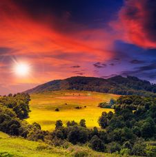 Forest On A Steep Mountain Slope Royalty Free Stock Photo Forest On A Steep Mountain Slope Royalty Free Stock Photo