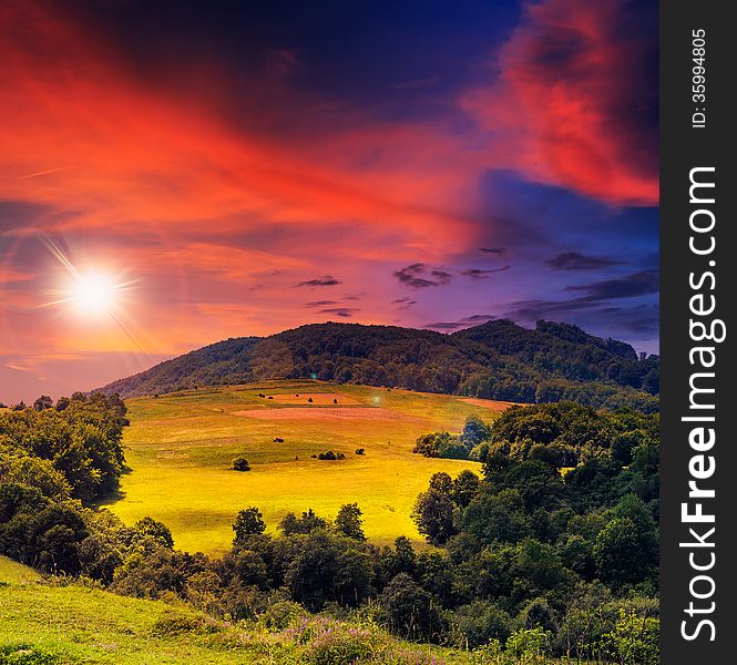 Valley near forest on a steep mountain slope in evening