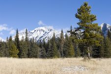 Mountain Meadow 2 Royalty Free Stock Photo Mountain Meadow 2 Royalty Free Stock Photo