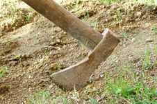 Free Chop Royalty Free Stock Photography - 368217