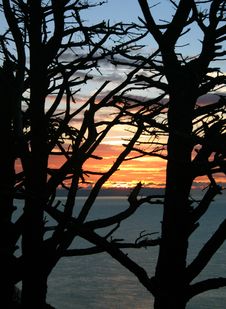 Coastal Sunrise Stock Images Coastal Sunrise Stock Images