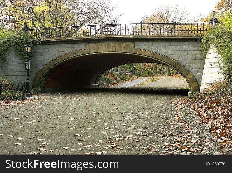 Winterdale Arch