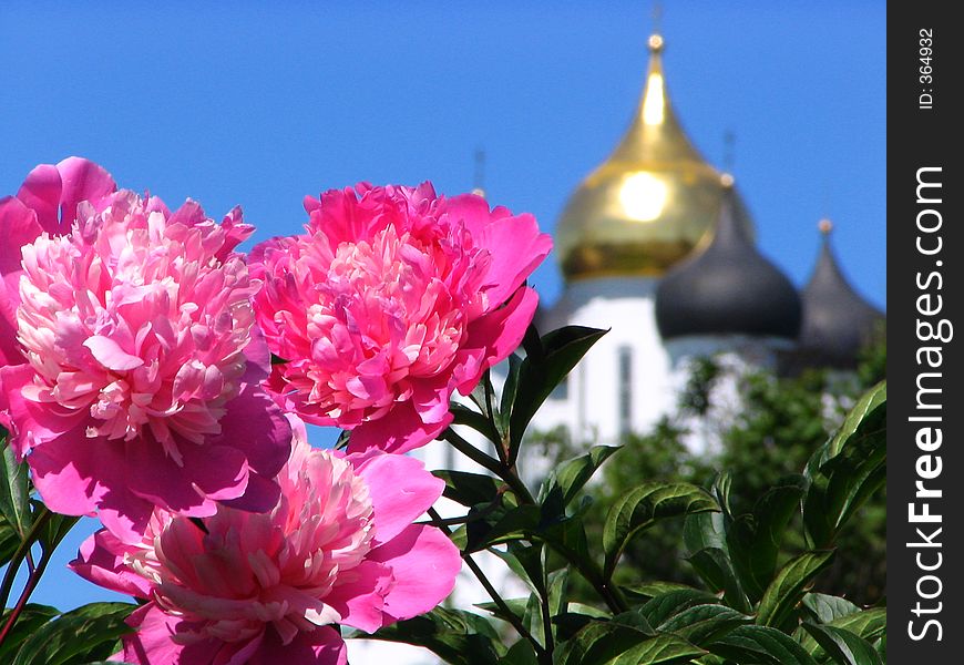 Flowers and dome of church. Flowers and dome of church