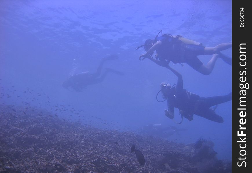 Divers Blue