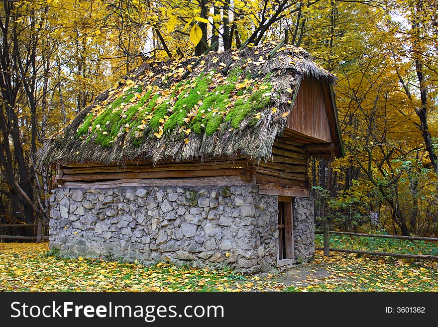 A wooden rural cottage with a thatch roof on which grows green moss in the forest