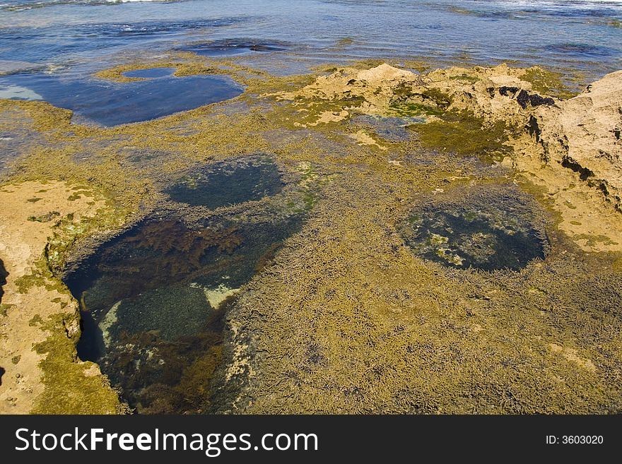 Small ocean pools with plankton on the rocks austrlia