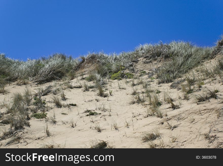 Sand dune with sparce vegetation against blue sky