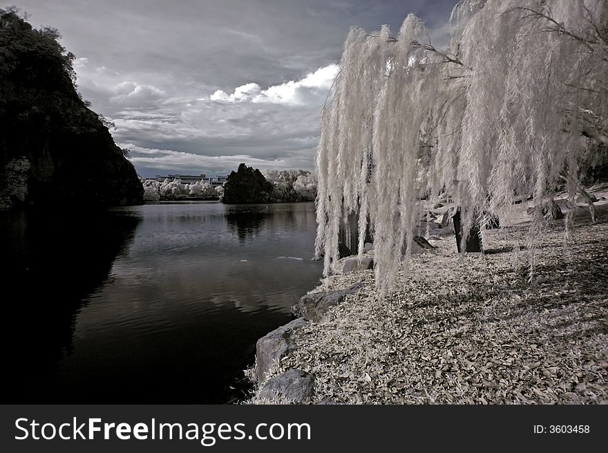 Infrared photo- tree, rock, and lake in the parks