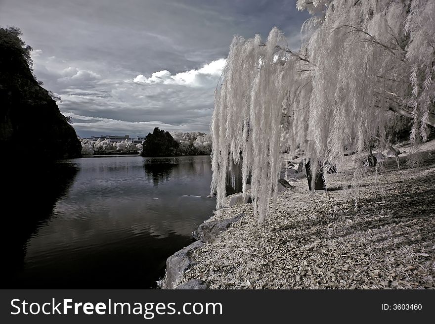 Infrared photo- tree, rock, and lake in the parks