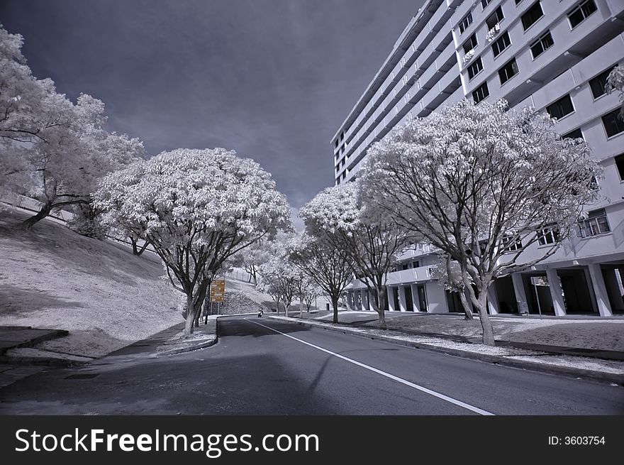 Infrared photo- road and modern building in the parks. Infrared photo- road and modern building in the parks