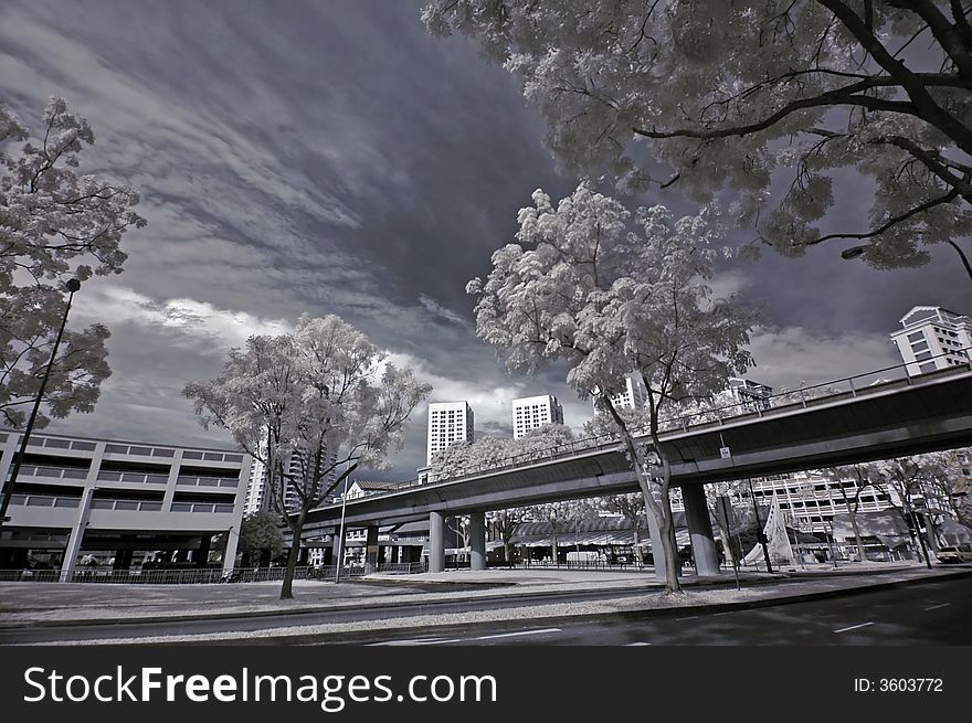 Infrared photo- tree and train track in the city