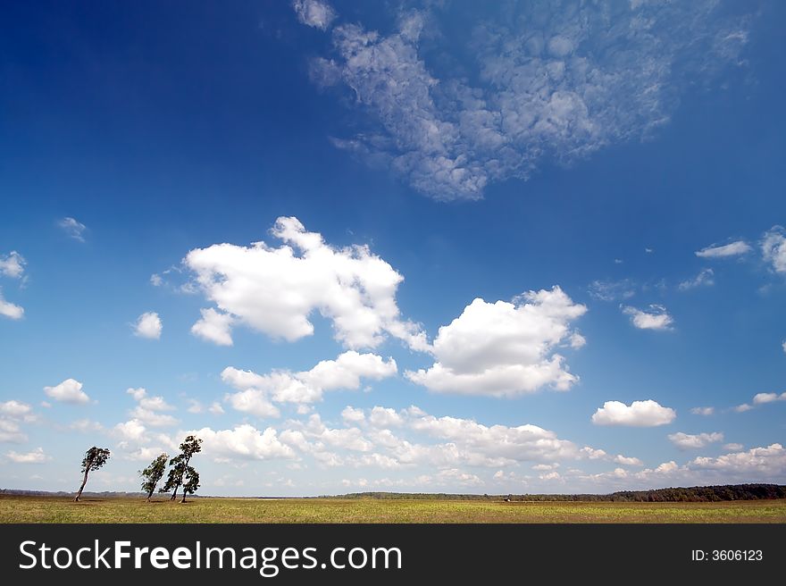 Beautiful sky with four trees