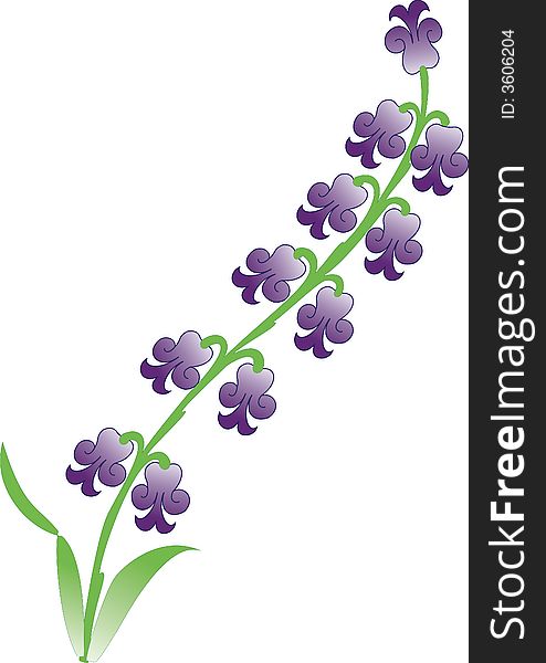 An ottoman design vector flower illustration of lilac hyacinth. An ottoman design vector flower illustration of lilac hyacinth