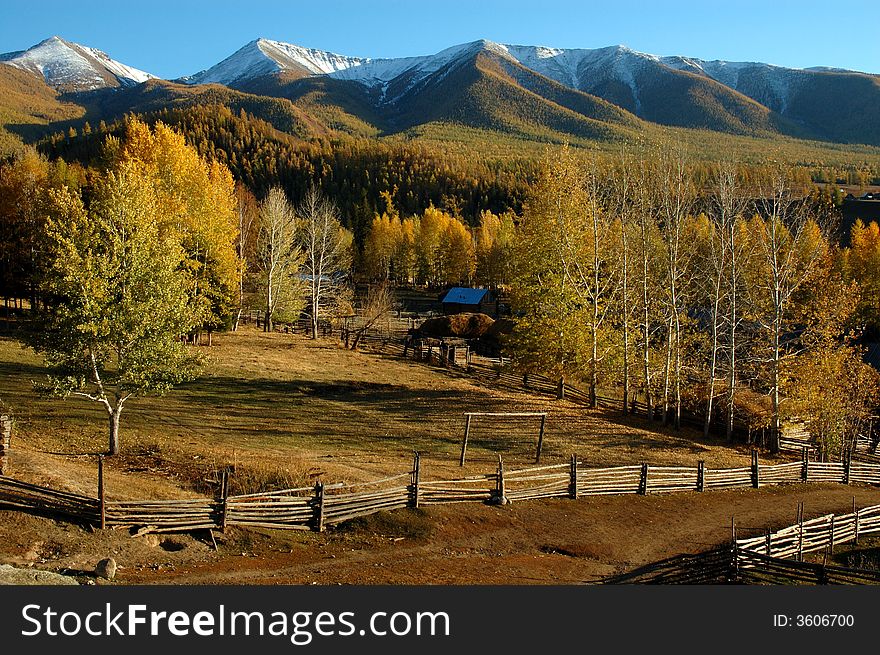 Late autumn.
In Xinjiang,China.
snow mountain and villages.