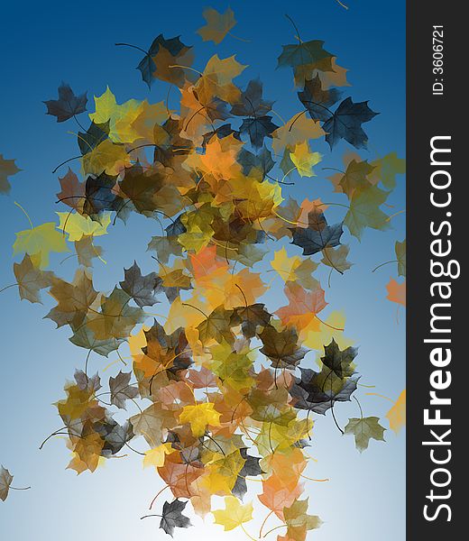 Different falling maple leaves on gradient blue background. Different falling maple leaves on gradient blue background.