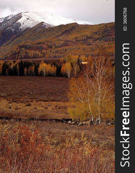 Deep autumn. In Xinjiang,China. Snow mountain and villages.