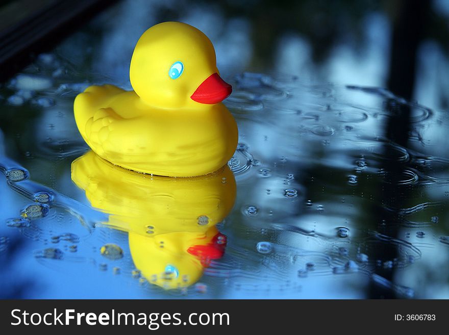 A rubber ducky swims through soap suds.