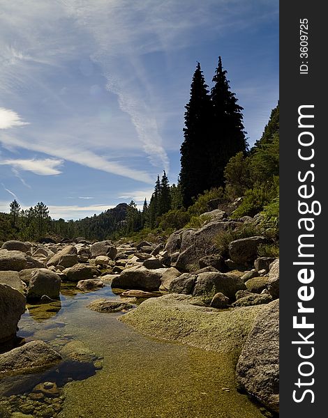 Beautiful mountain landscape - lake and tress