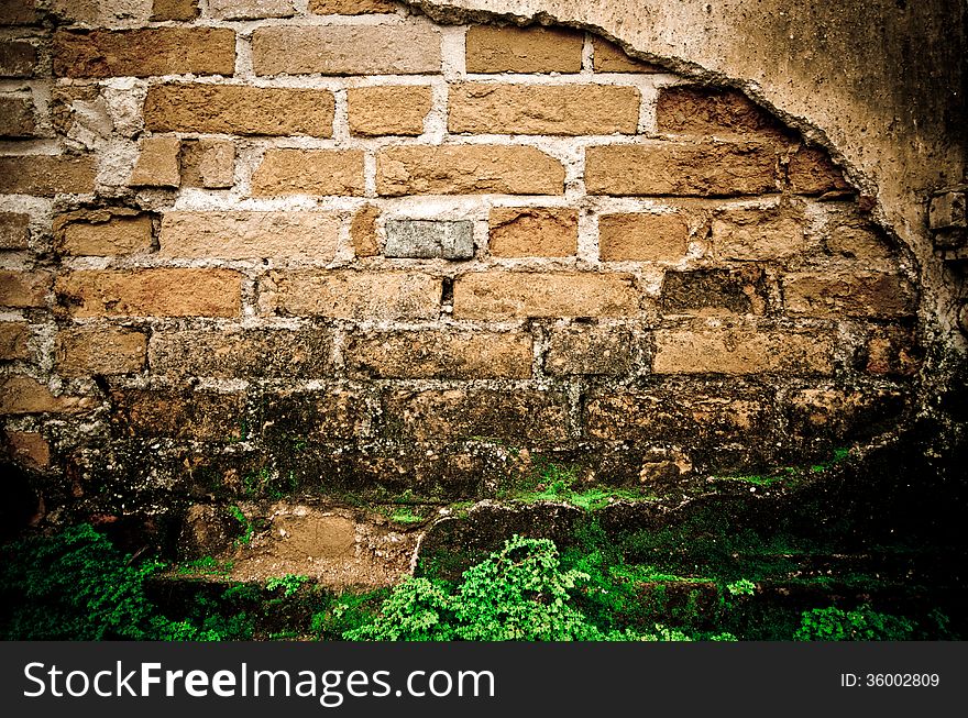 Grunge wall of the old house. Textured background