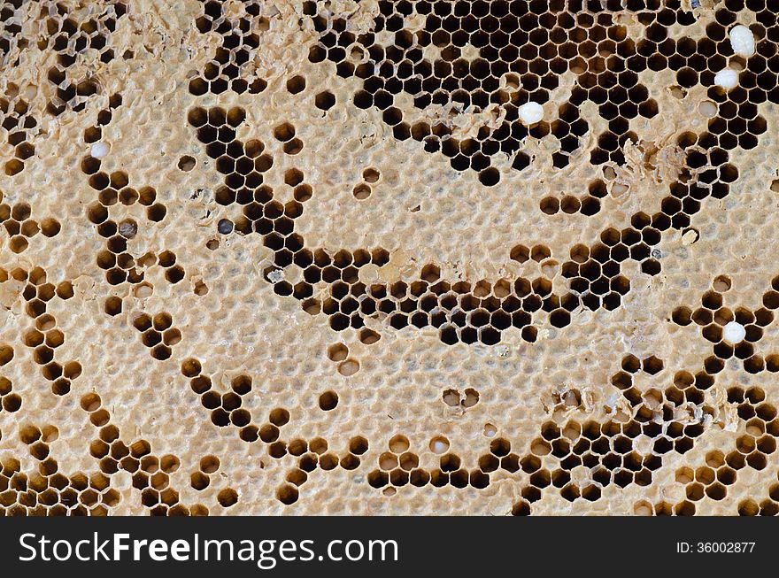 Close up of honeycomb background