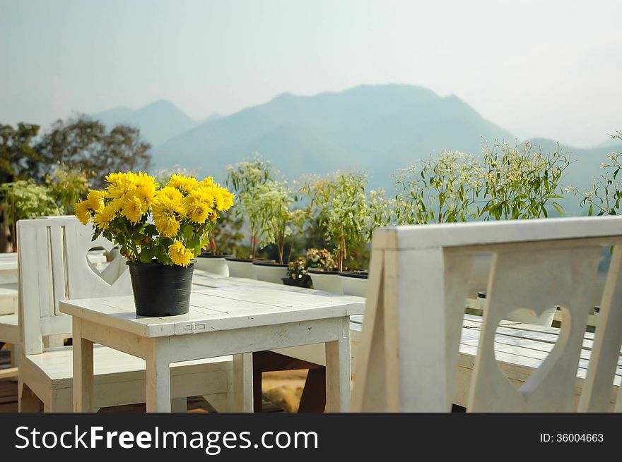 Potted yellow flower on a white bench in the valley. Potted yellow flower on a white bench in the valley.