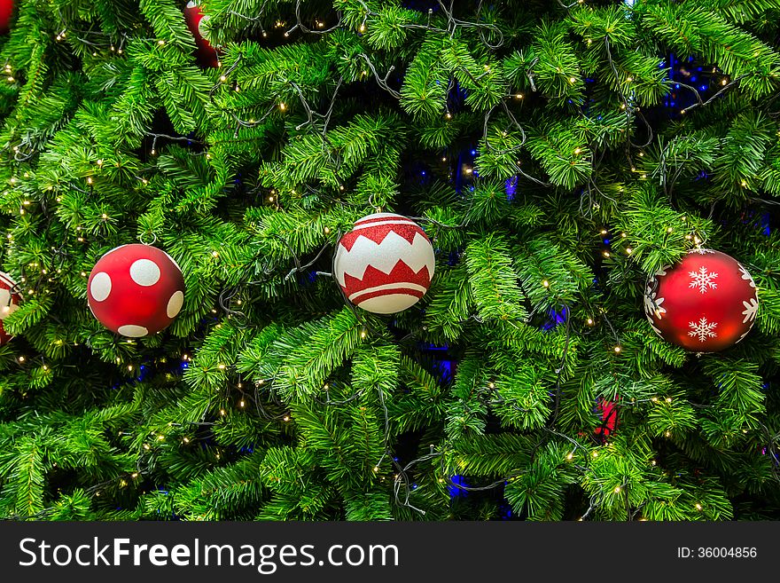 Close-up shot chrismas tree for background.