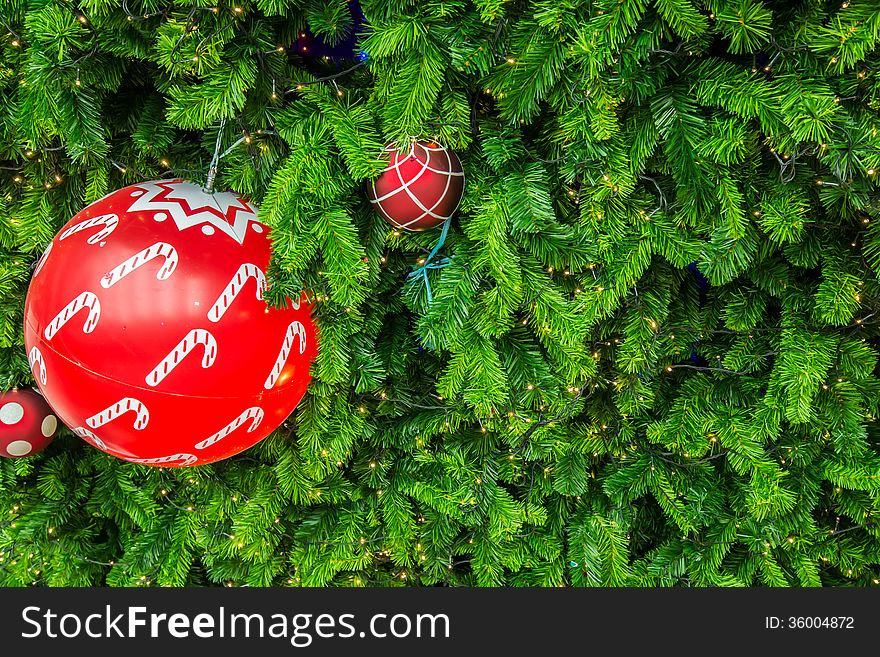 Close-up shot chrismas tree for background.