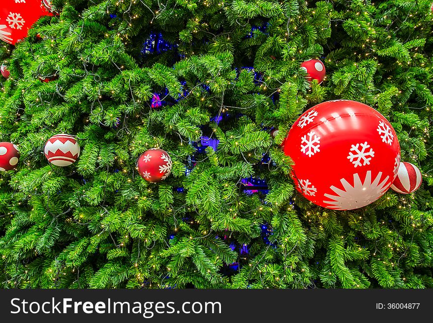 Close-up shot chrismas tree for background.