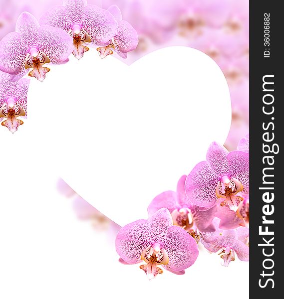 Greeting card as heart shape made from lot of pink orchid flowers. Greeting card as heart shape made from lot of pink orchid flowers