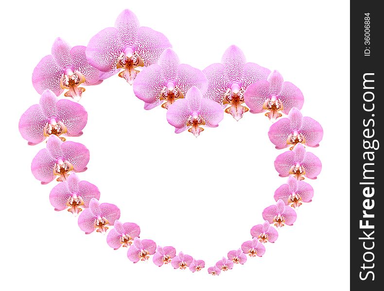 Love concept. Heart shape made from lot of pink orchid flowers. Love concept. Heart shape made from lot of pink orchid flowers