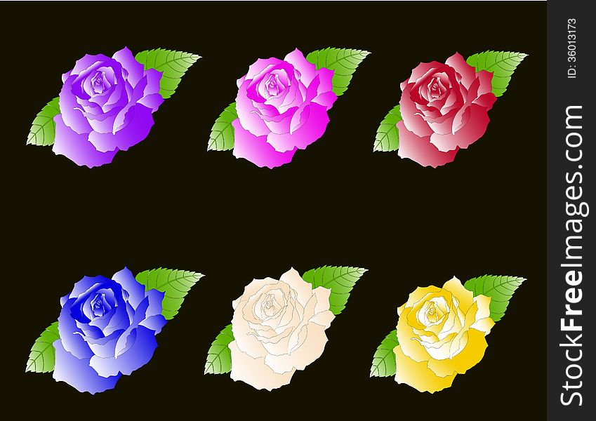 Vector illustration of a set of six roses: violet, fuchsia, red, blue, white and yellow accompanied with two green leaves isolated on black background. Vector illustration of a set of six roses: violet, fuchsia, red, blue, white and yellow accompanied with two green leaves isolated on black background.