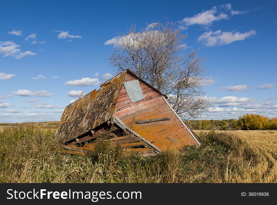 Decaying Shed