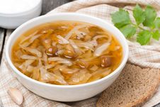 Traditional Russian Cabbage Soup &x28;shchi&x29; With Wild Mushrooms Royalty Free Stock Image Traditional Russian Cabbage Soup &x28;shchi&x29; With Wild Mushrooms Royalty Free Stock Image