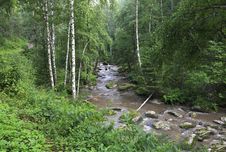 Belokurikha River In The Forest On The Hillside Sinyuha. Stock Photos Belokurikha River In The Forest On The Hillside Sinyuha. Stock Photos