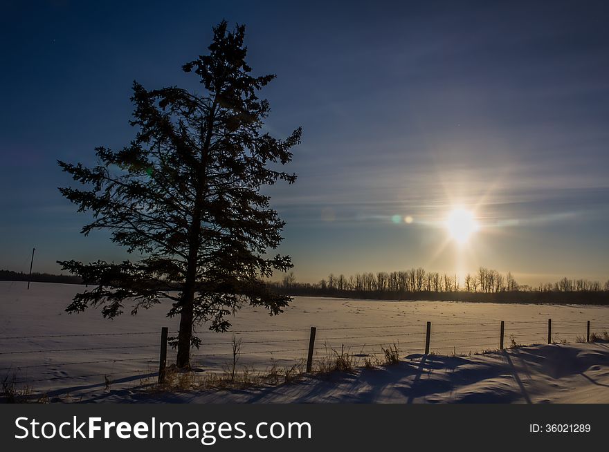 Morning sun shining on a snow covered field