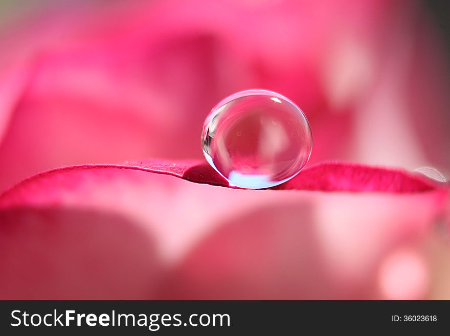 Isolated Droplet