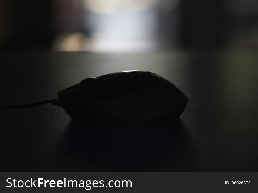 Computer Mouse In Shadow