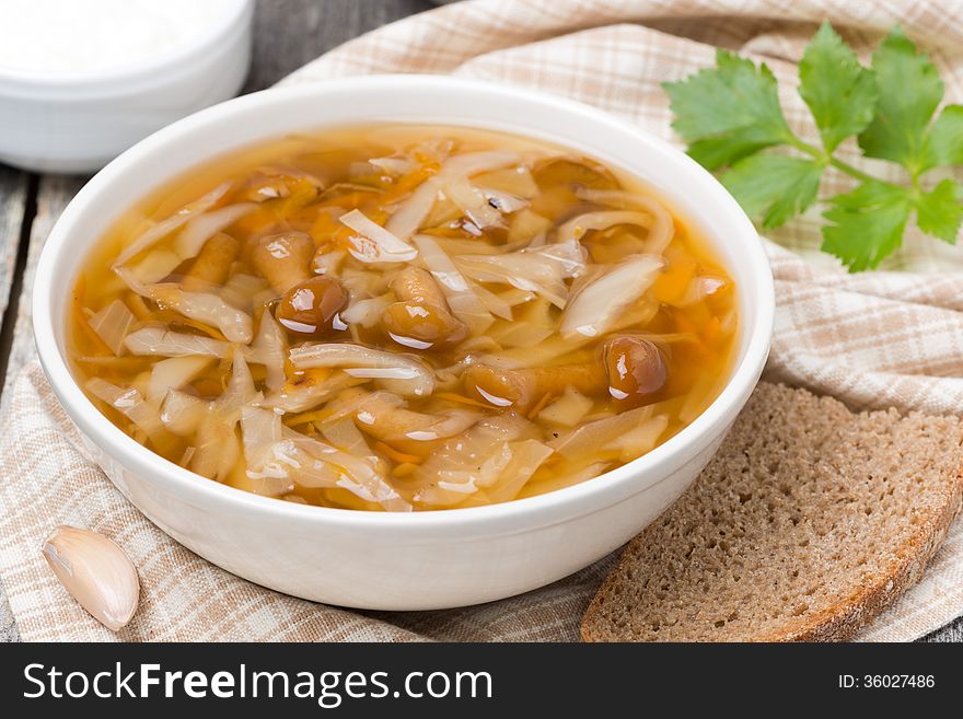 Traditional Russian cabbage soup (shchi) with wild mushrooms, top view. Traditional Russian cabbage soup (shchi) with wild mushrooms, top view