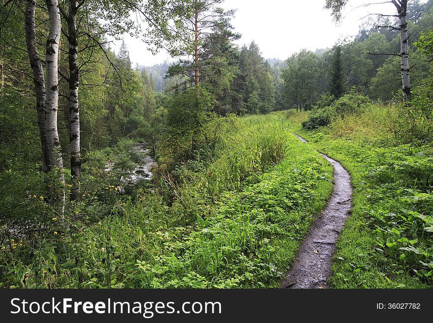 Path For Hiking On A Mountain Slope Sinyuha.